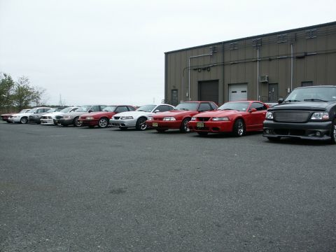 2001 Mercury Grand Marquis - A row of Ford Mustangs and a truck are parked outside a commercial building on an overcast day.