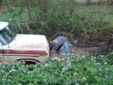 1979 Ford Bronco - A person works on a 1978 Ford Bronco that is stuck in a muddy ditch, surrounded by overgrown vegetation.