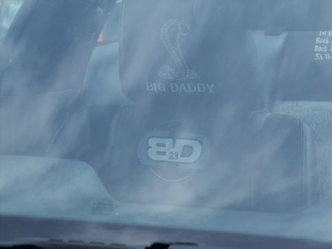 2001 Mercury Grand Marquis - Interior view of a car's headrest displaying embroidered text and a cobra logo.
