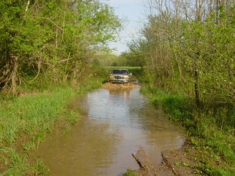 1996 Ford Bronco - Two-tone Ford truck driving head-on through a long flooded two-track trail, pushing a bow wave of muddy brown water. Green spring brush and…