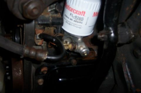 1996 Ford Crown Victoria - A Motorcraft oil filter is attached to engine components with hoses nearby.
