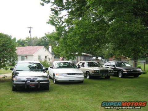 1996 Ford Crown Victoria - Four sedans are parked on a grassy lawn in front of a house and trees.