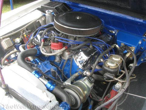 1968 Ford Mustang - Customized Ford V8 engine bay blue hoses and chrome components.