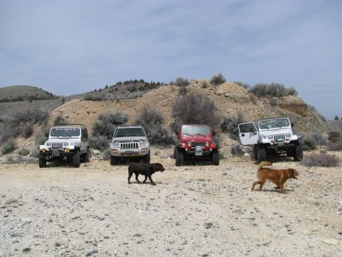 1994 Ford Bronco