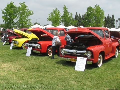 1968 Ford Mustang - Photograph of vintage Ford F-100 pickups at a car show, not a technical document.