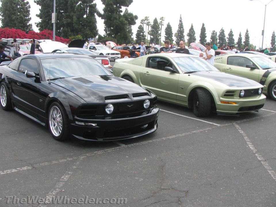 Black and green late-model Mustang coupes at a show