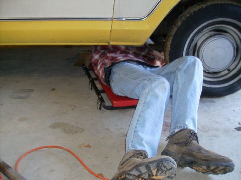 1979 Ford F-100