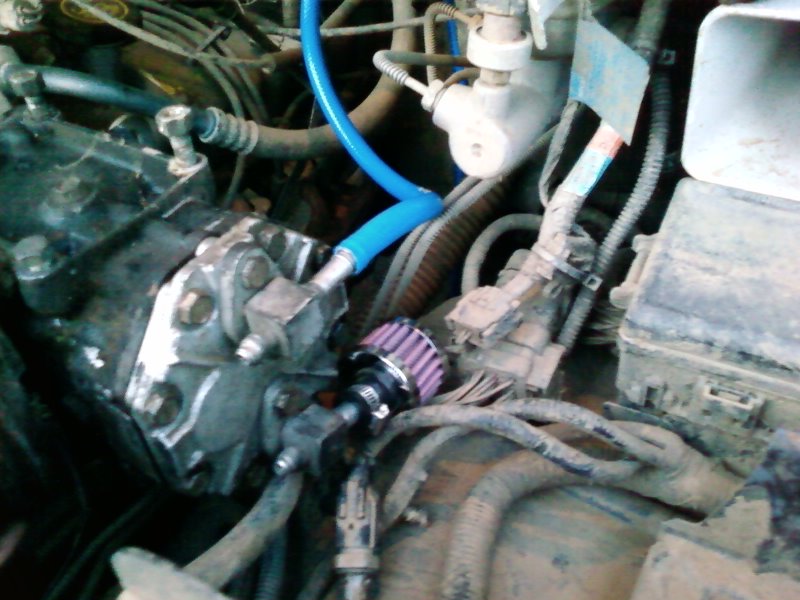 Engine bay detail showing a small purple air filter attached to a blue hose and various engine components