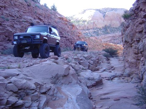 1986 Ford Bronco II