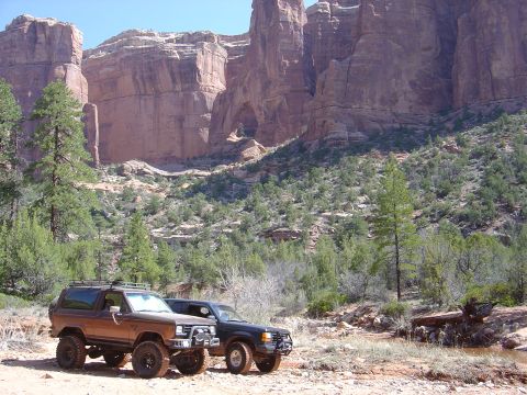 1986 Ford Bronco II