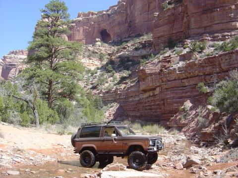 1986 Ford Bronco II