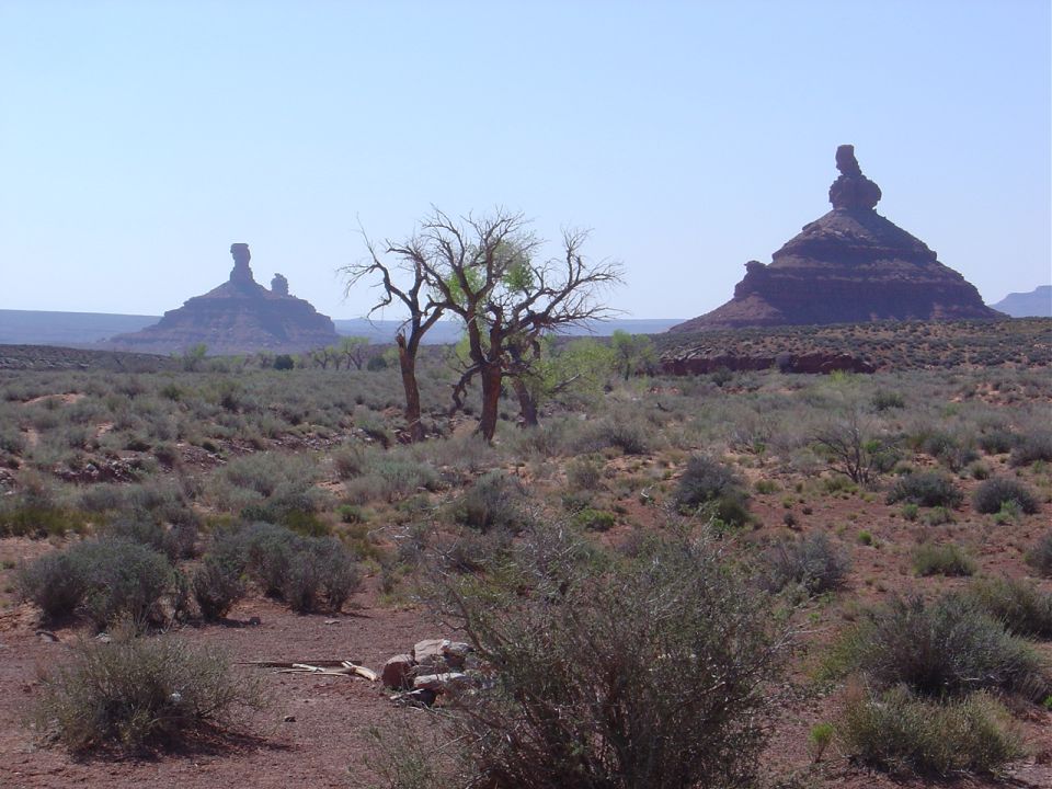 Desert landscape with rock formations and sparse vegetation.