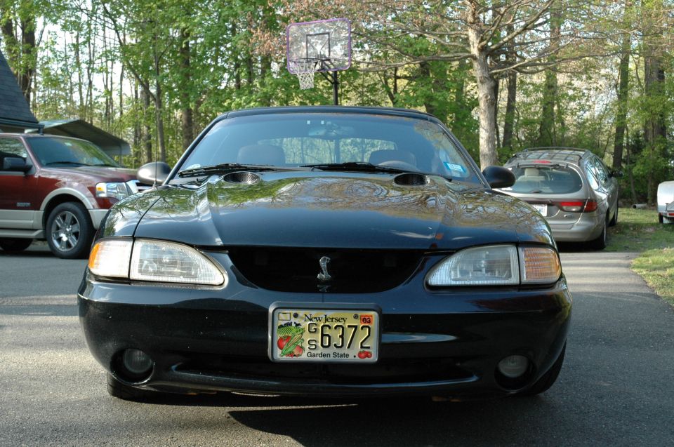 Black 1995 Ford Mustang Cobra front view with New Jersey license plate