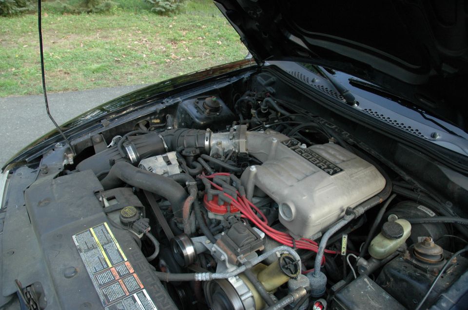 Ford Mustang Cobra 5.0 V8 engine bay with red plug wires, hood up