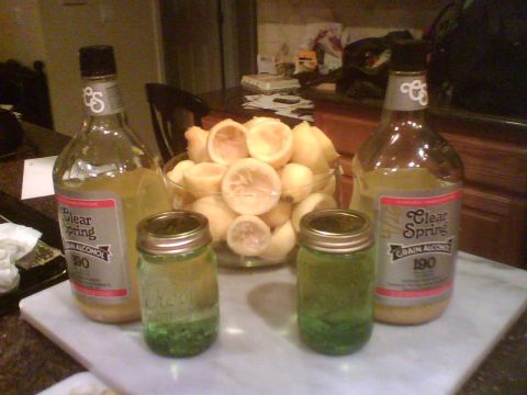 1993 Ford Bronco - Bottles of 190 proof grain alcohol and a bowl of lemons sit on a counter next to two jars.