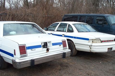 2001 Ford Crown Victoria - Two white sedans with blue stripes are parked outdoors, with a dark van behind them.