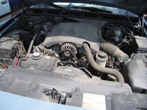 2001 Ford Crown Victoria - The engine bay of a 2001 Ford Crown Victoria is visible, with the hood open.