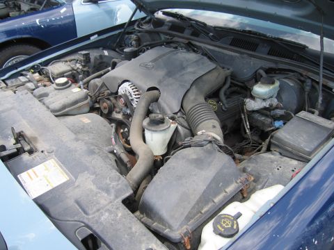 2001 Ford Crown Victoria - The engine bay of a 2001 Ford Crown Victoria is shown, with another blue vehicle visible in the background.