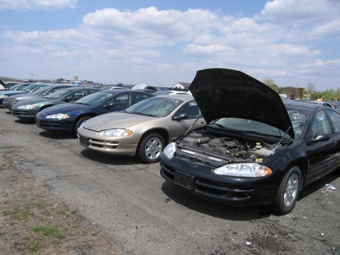 2001 Ford Crown Victoria - Photograph of cars parked in a lot, not a technical document.