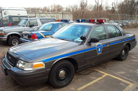 2001 Ford Crown Victoria - A dark gray police car with a blue stripe and light bar is parked next to another police car.
