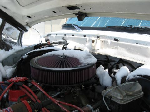 1979 Ford Bronco