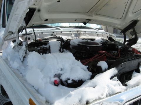 1979 Ford Bronco