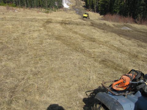 2004 Honda TRX 350 FE