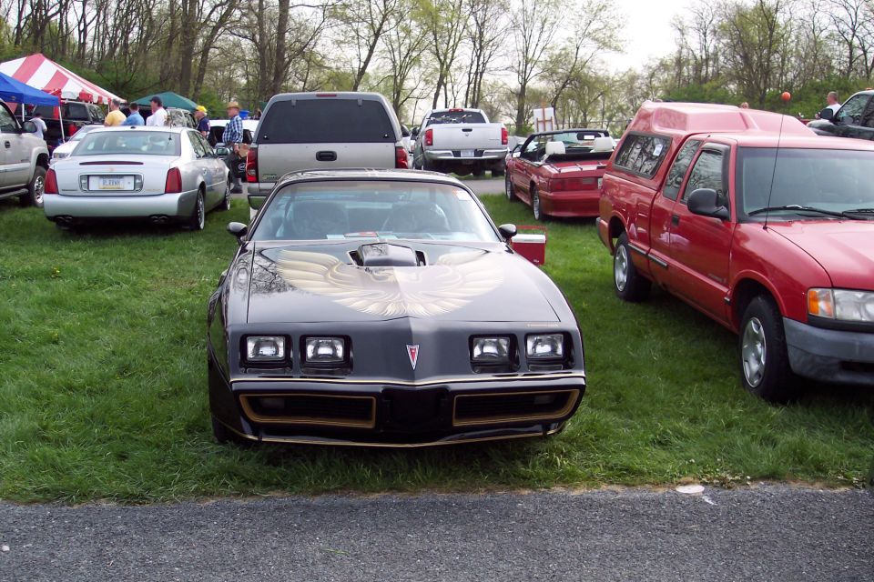 Black 1980s Pontiac Firebird Trans Am with gold hood decal, parked on grass.
