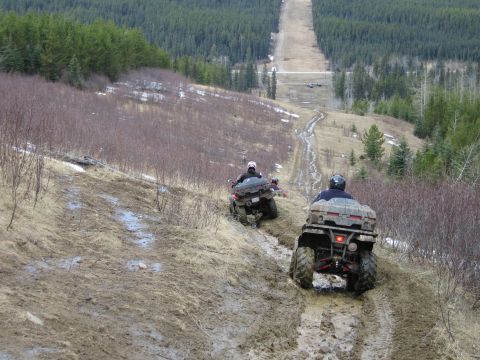 2004 Honda TRX 350 FE