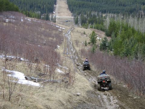 2004 Honda TRX 350 FE