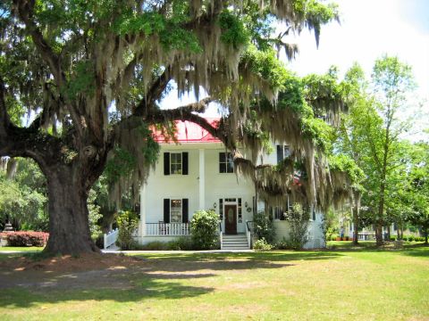 1985 Ford LTD Crown Victoria - Photo of a white two-story house with a red roof framed by a large Spanish-moss-draped oak tree.