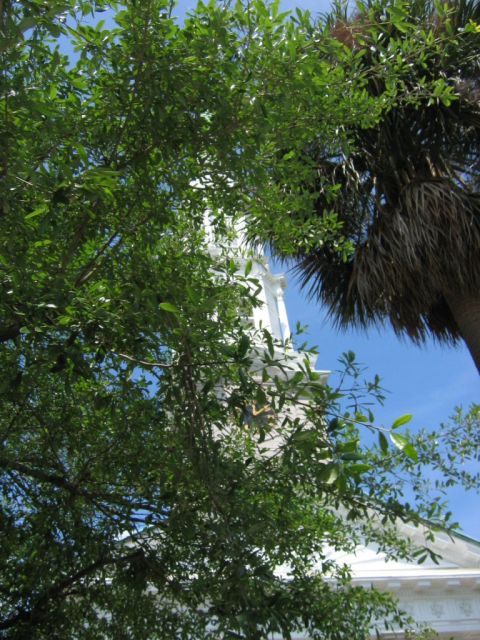 1985 Ford LTD Crown Victoria - A clock tower is visible through trees and foliage, under a bright blue sky.