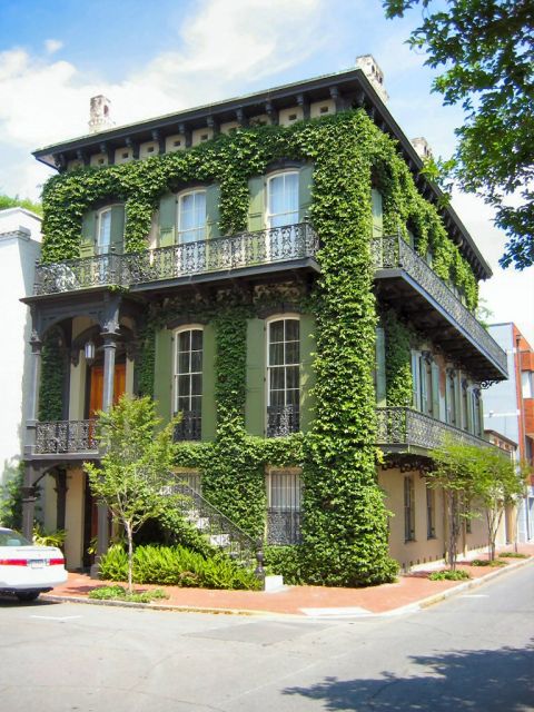 1985 Ford LTD Crown Victoria - A historic building in Savannah, Georgia, is completely enveloped by lush green ivy.