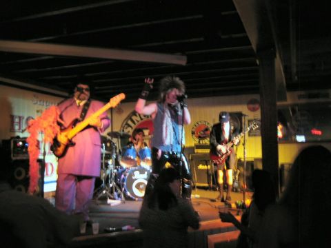 1985 Ford LTD Crown Victoria - A band performs live on stage in front of an audience, illuminated by stage lights.