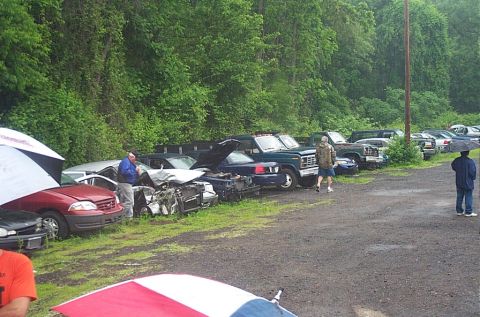2001 Ford Crown Victoria - A collection of vehicles are parked in an outdoor lot, with a line of trees bordering the area.
