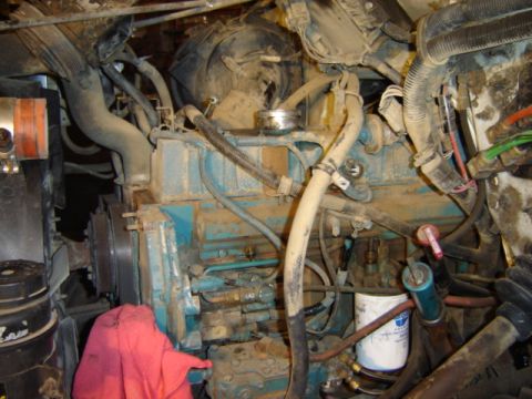 1992 Ford Bronco - Close-up view of a dirty engine bay, showing the engine block, various hoses, and a filter.