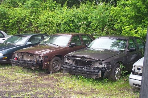 2001 Ford Crown Victoria - Multiple wrecked sedans are parked in a grassy area, with the front ends of two vehicles appearing damaged and missing components.