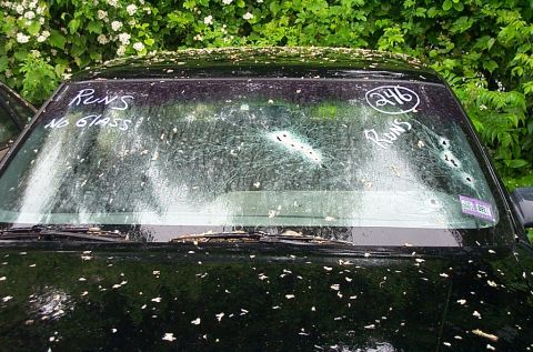 2001 Ford Crown Victoria - Windshield of a vehicle damaged by bullets, with notes indicating it runs but has no glass.