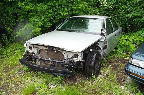2001 Ford Crown Victoria - A damaged silver 2001 Ford Crown Victoria sits abandoned in a grassy area, partially obscured by foliage.