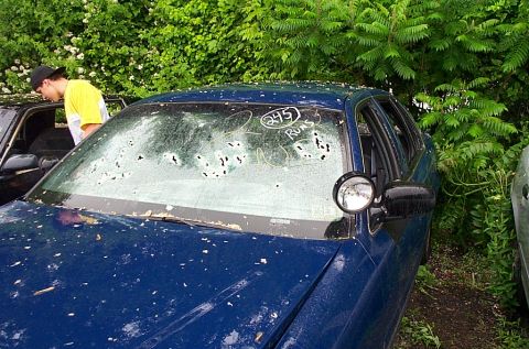 2001 Ford Crown Victoria - A blue sedan with writing on its windshield is parked next to another vehicle, with foliage in the background.