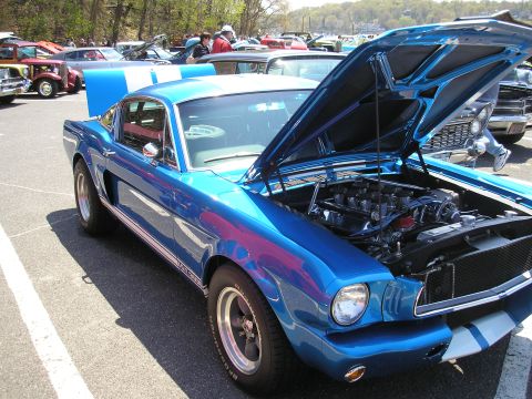 1995 Ford Bronco - A blue 1967 Ford Mustang Shelby GT500 is displayed with its hood open at a car show, revealing the engine and white racing stripes.
