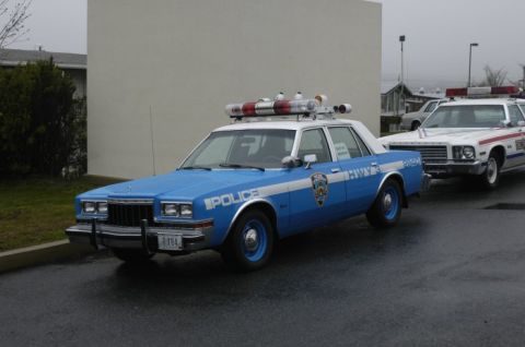 1973 Dodge 1500 - A blue and white police car is parked next to another police vehicle on a cloudy day.