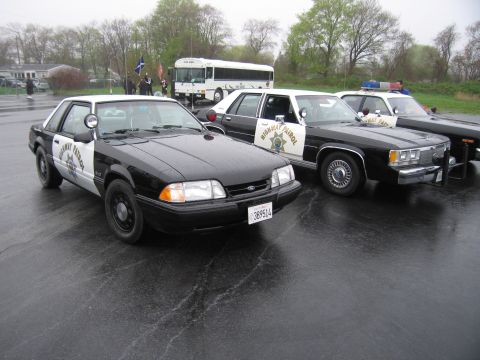 1991 Ford LTD Crown Victoria - lineup of black-and-white Highway Patrol cars, including a Ford Mustang and sedans, with a white bus behind them on a wet lot.