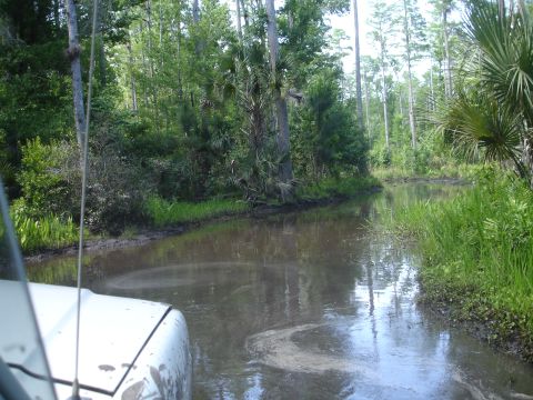 1989 Ford Bronco - A vehicle navigates through a water-filled, wooded trail.