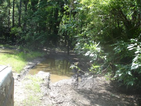 1989 Ford Bronco - A muddy off-road track winds through dense trees, with a portion of a vehicle visible on the left side of the frame.