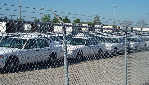2001 Ford Crown Victoria - Multiple white 2001 Ford Crown Victoria sedans are parked in a lot behind a chain-link fence.