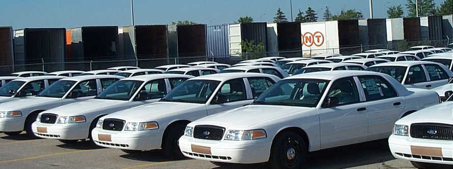 Rows of white Ford Crown Victorias parked outside