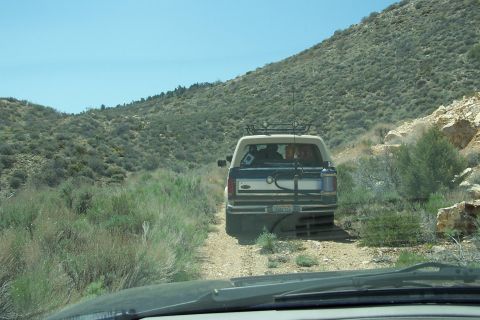 1990 Ford Bronco