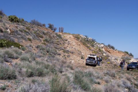 1990 Ford Bronco