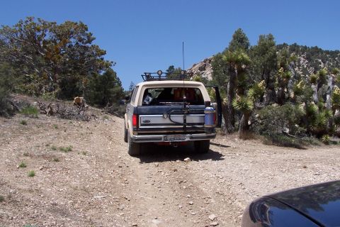 1990 Ford Bronco